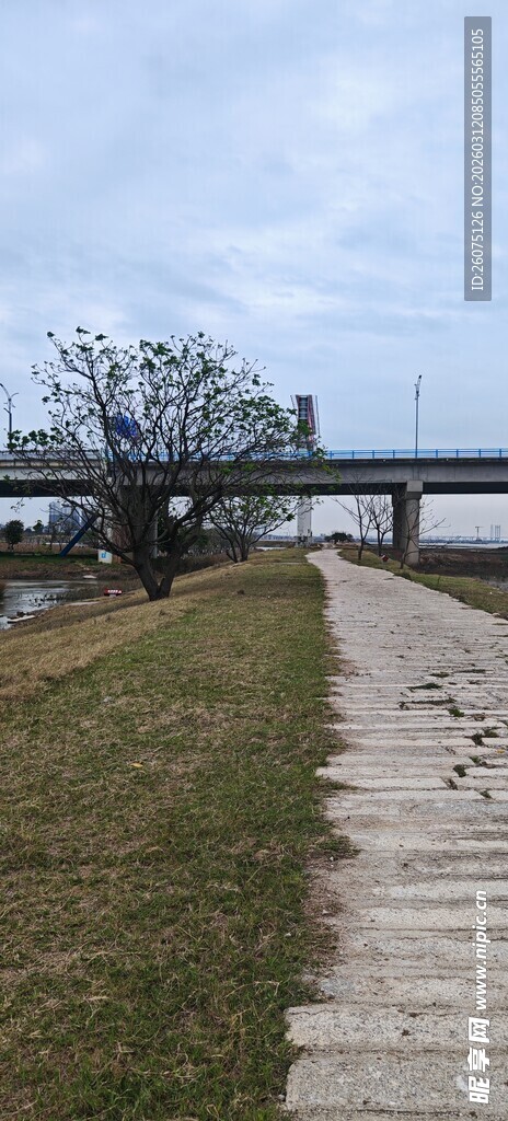 河畔步道与远处桥梁景观