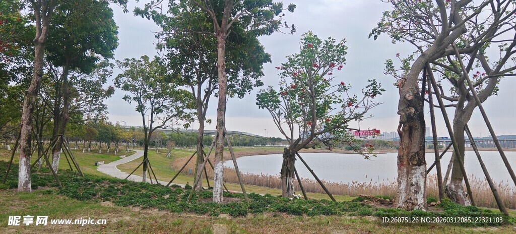 湖畔绿树成荫的自然景致