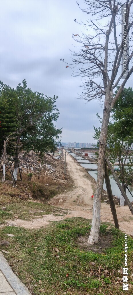 户外施工中的道路场景