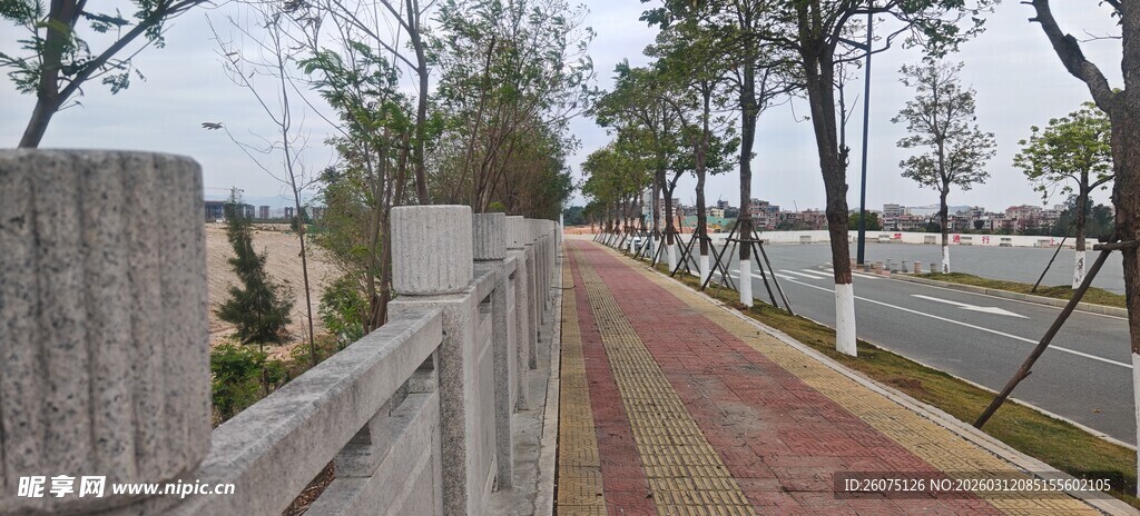 海边木栈道旁的风景