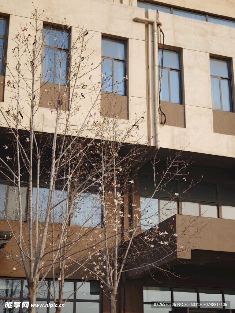 现代风格的多层建筑外观