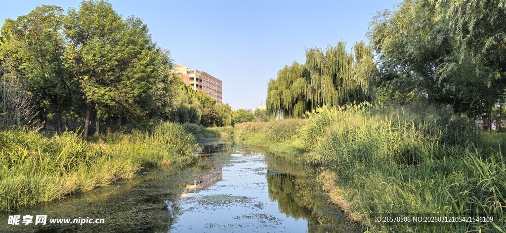 河畔绿意盎然的自然景致