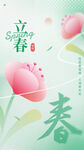 立春花卉海报设计