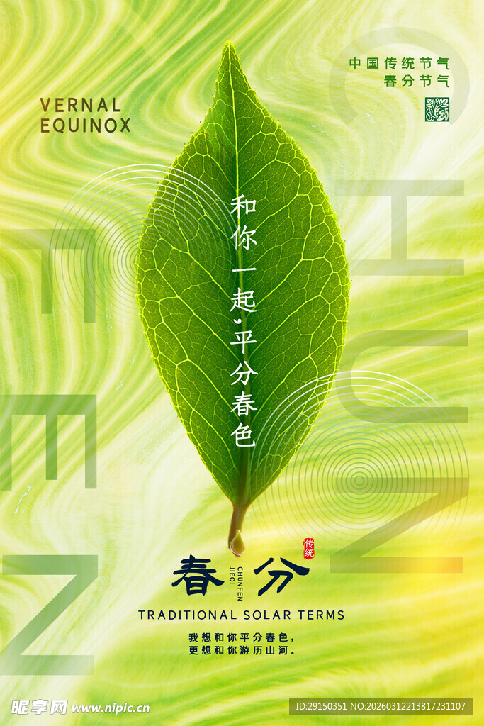 春分时节绿叶生机海报