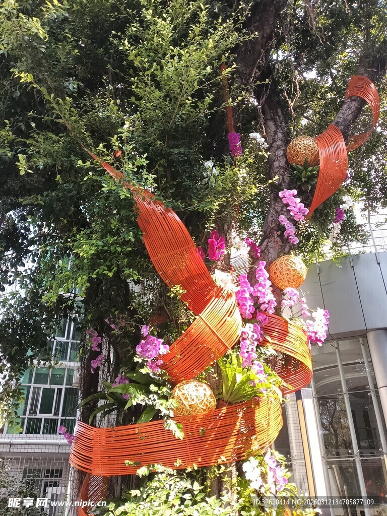 多彩鲜花装点户外景致