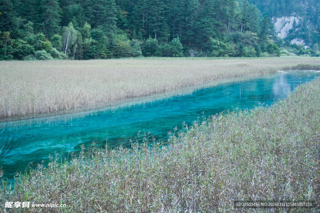 清澈蓝河伴两岸葱郁草木
