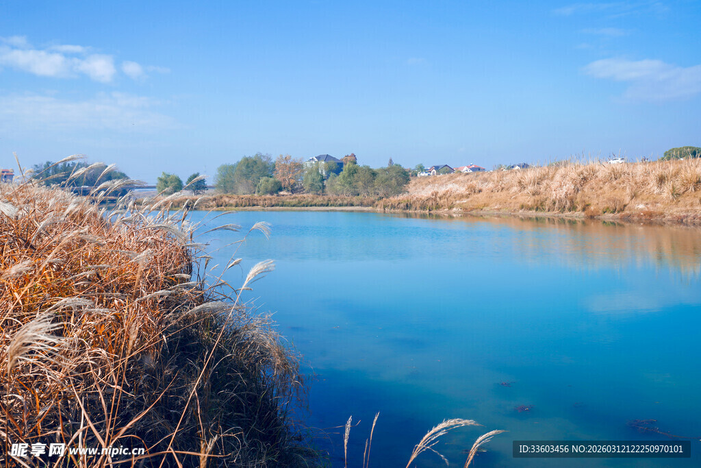 宁静清澈的河畔风光