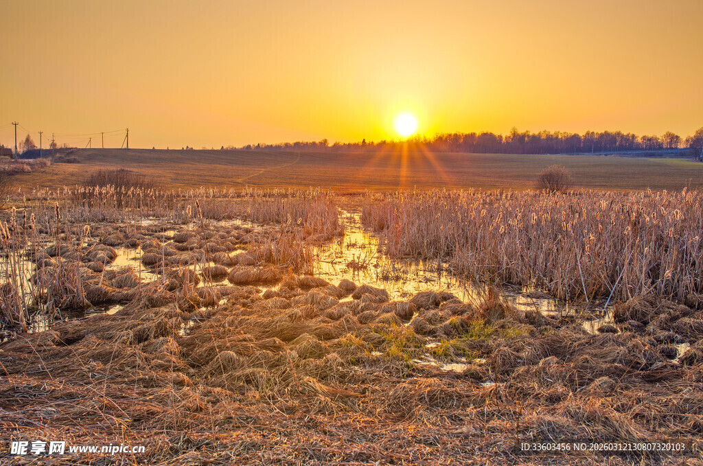 夕阳下的田野风光