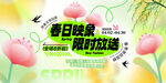 春日绽放限时特惠花卉