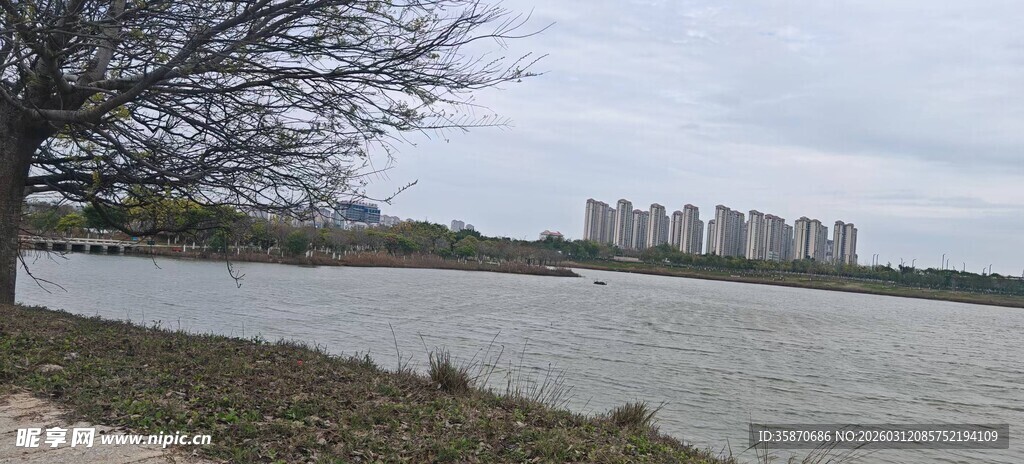 湖畔风光远处林立高楼