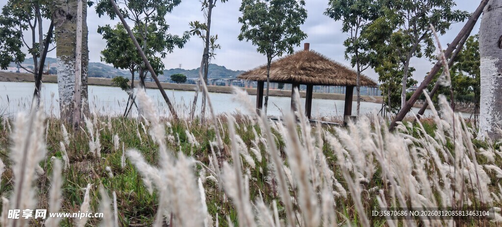 湖畔茅草景观与凉亭