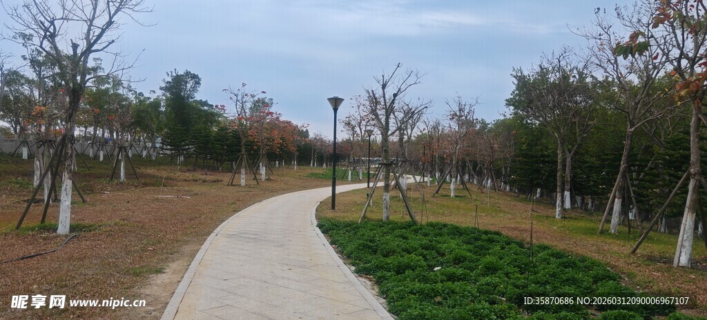 公园中的幽静小路