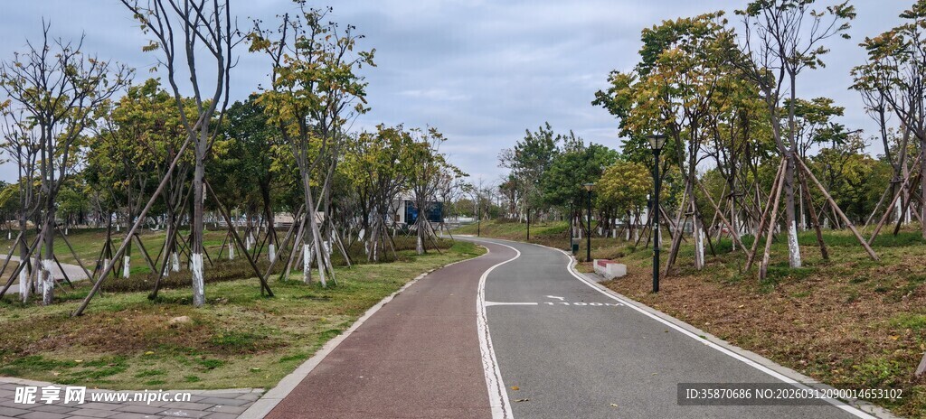 林间蜿蜒的美丽骑行道路