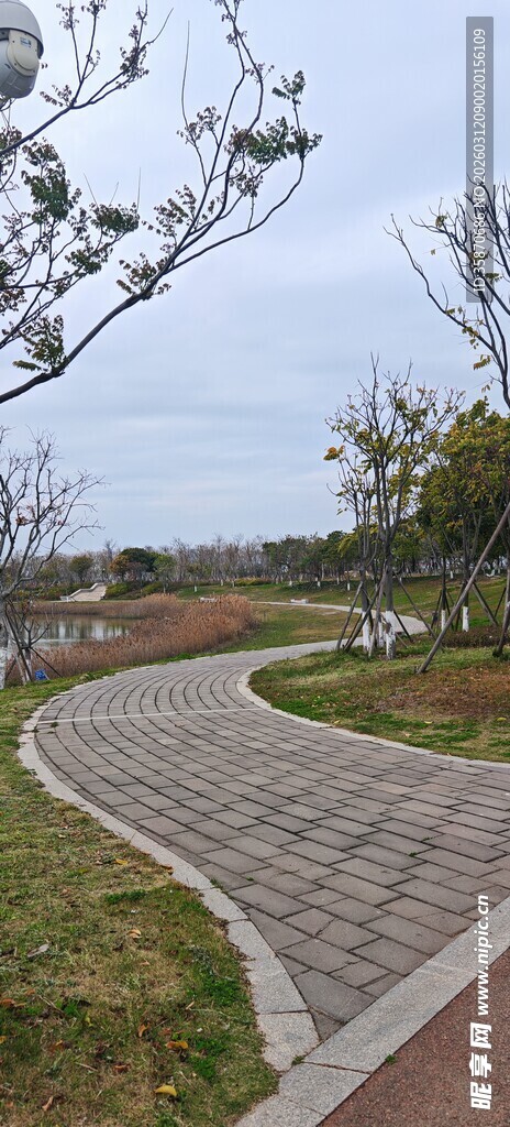 蜿蜒小路展现户外自然景致