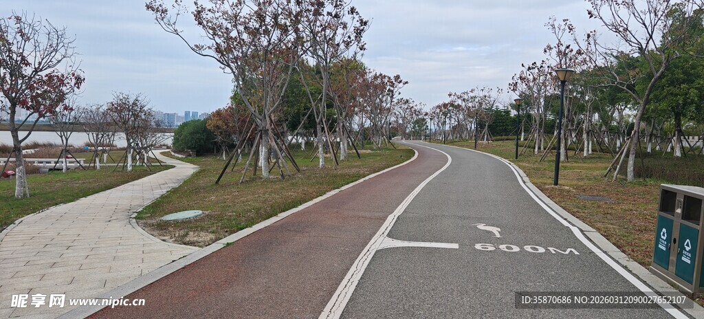 城市中的静谧林荫骑行道