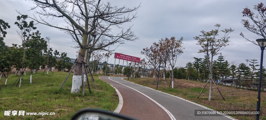 公园中的蜿蜒小路与树木