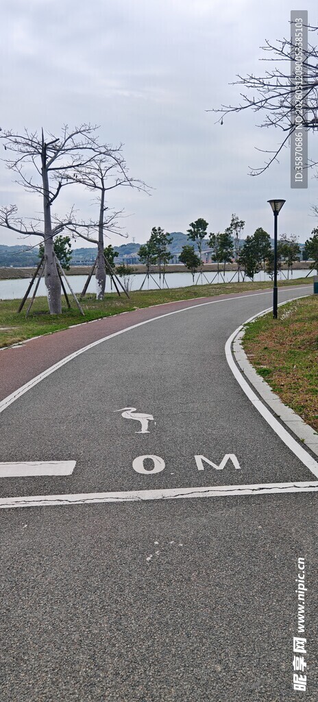 城市道路自行车专用车道