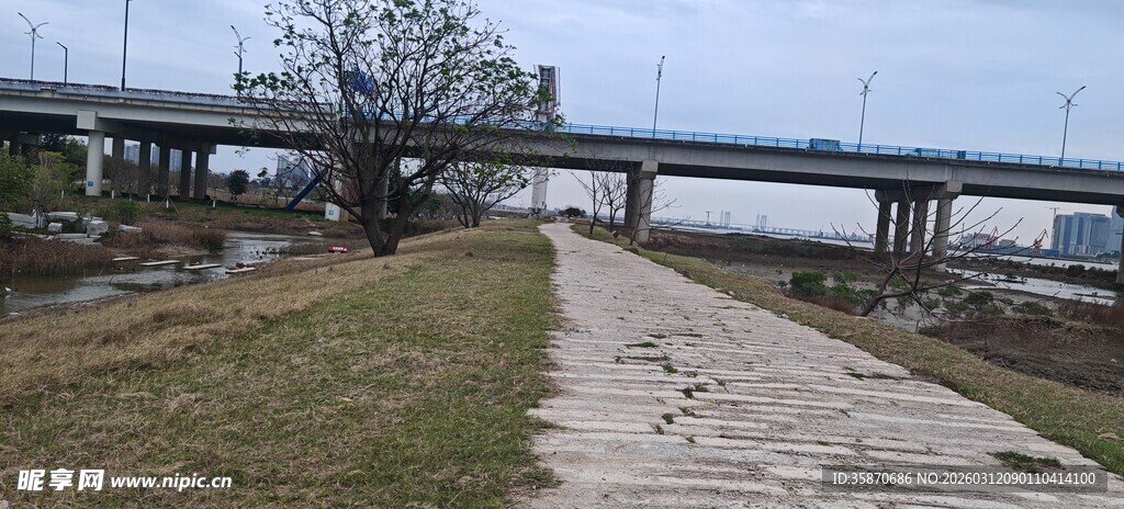 河畔路桥边的开阔景致