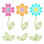 花朵与叶片插画