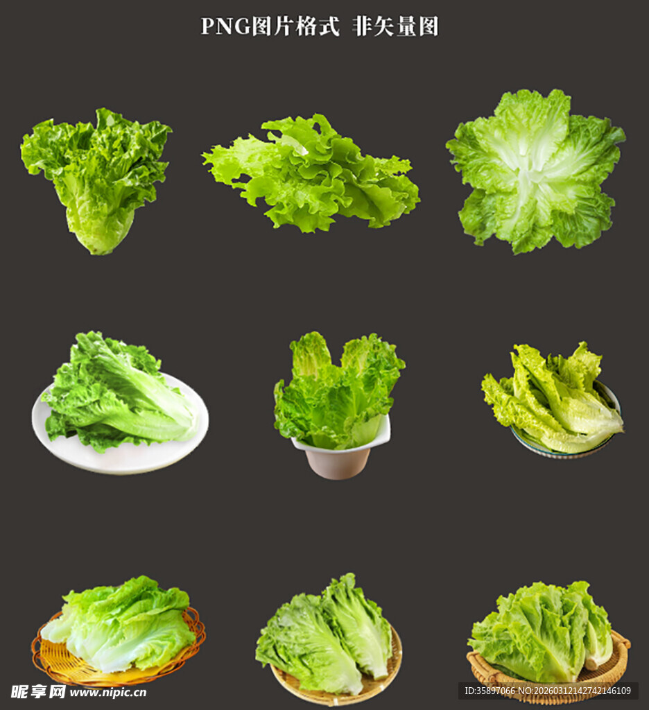 生菜素材