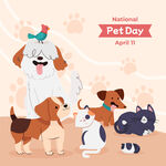 可爱萌宠欢聚宠物节