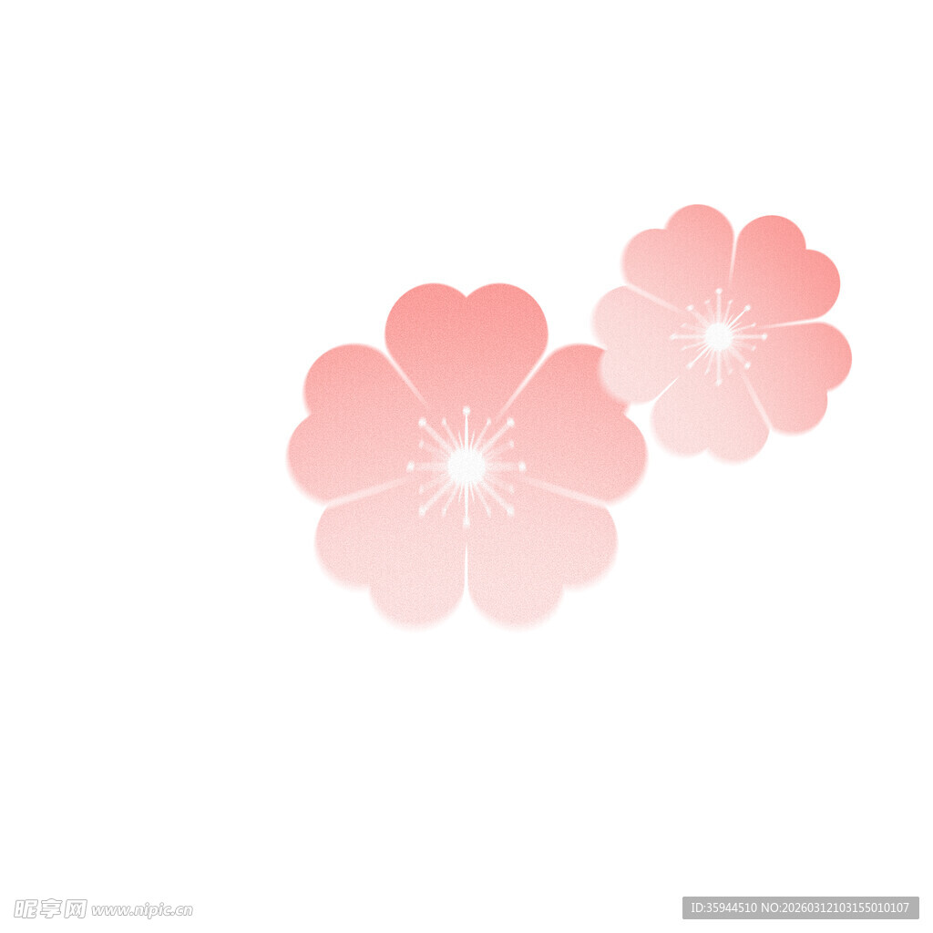 两朵粉色花朵插画