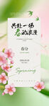 春日清新海报 简约美好