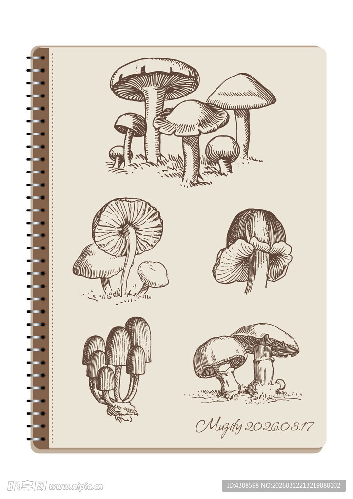 线圈本 5款入蘑菇素描画
