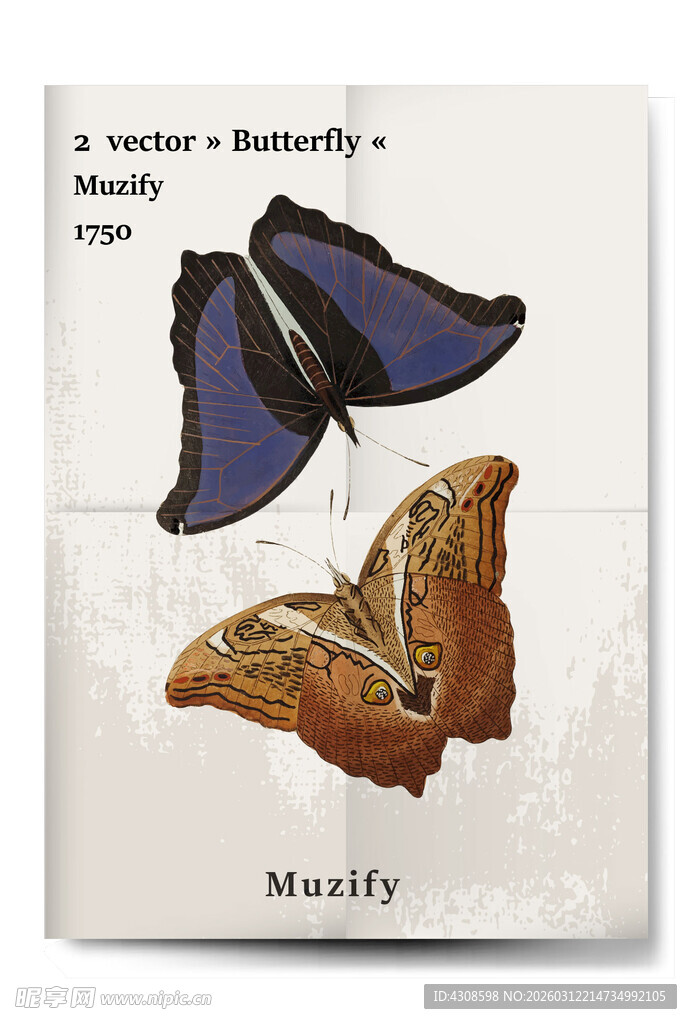 复古海报 2款入蝴蝶