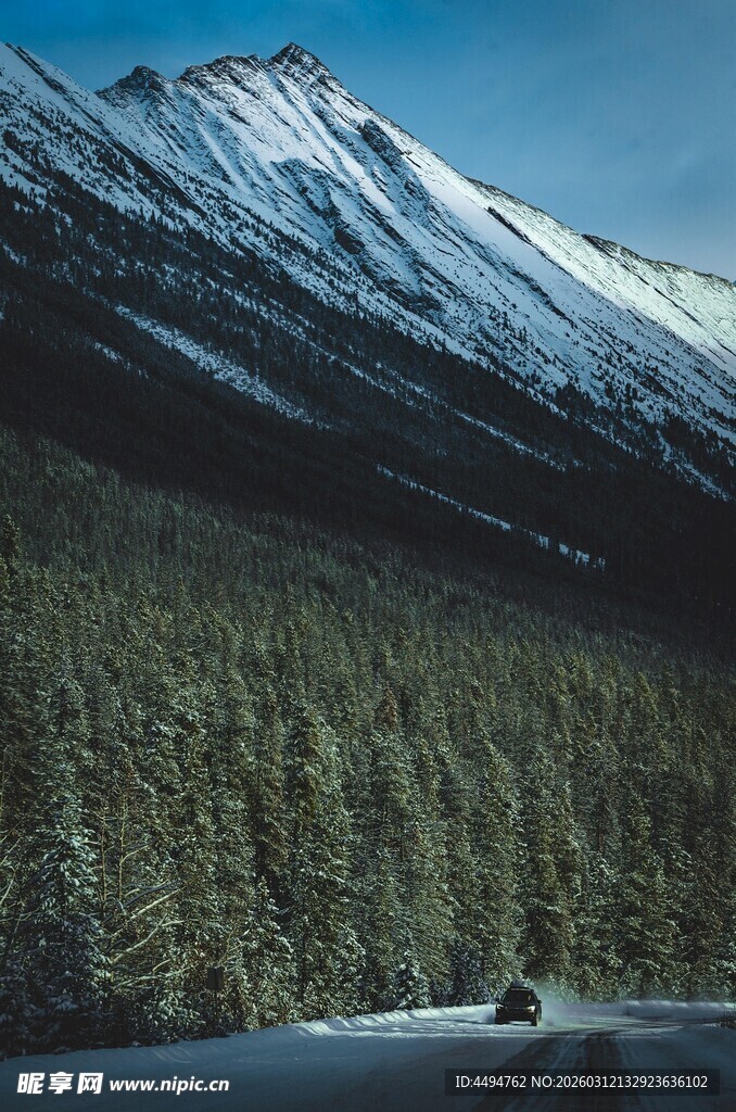 雪山下的森林湖泊美景