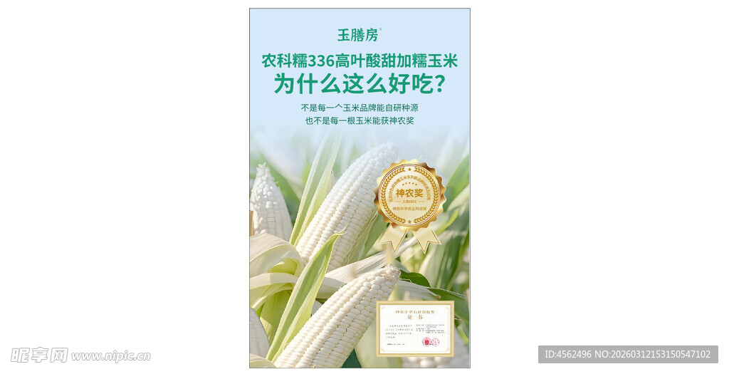 玉米种子包装展示