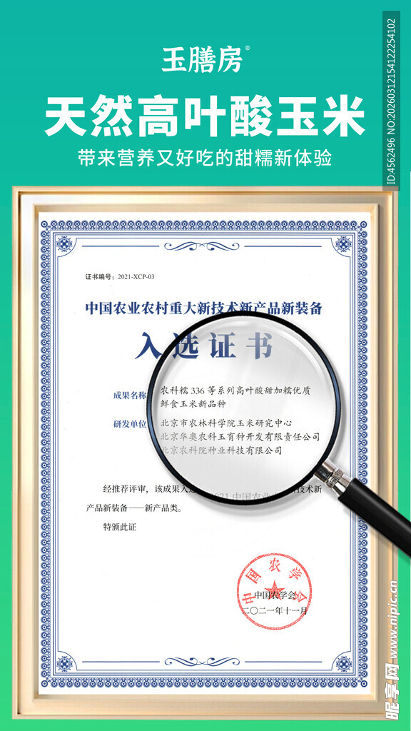 天然甜叶糯玉米证书特写