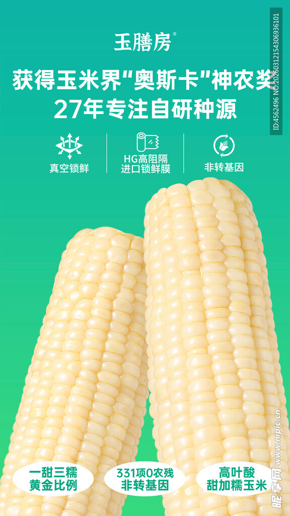 新鲜甜糯玉米等待品尝