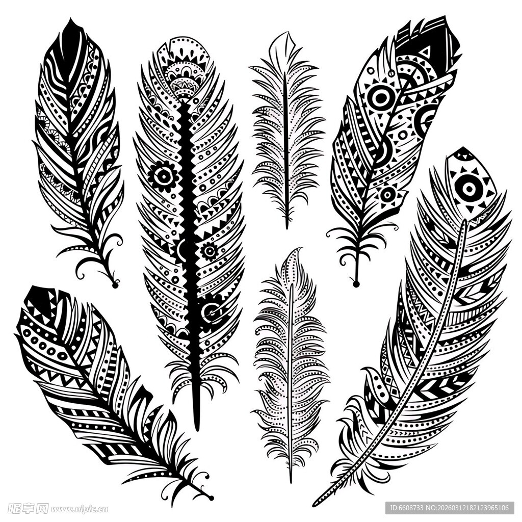 黑白花纹羽毛图案设计