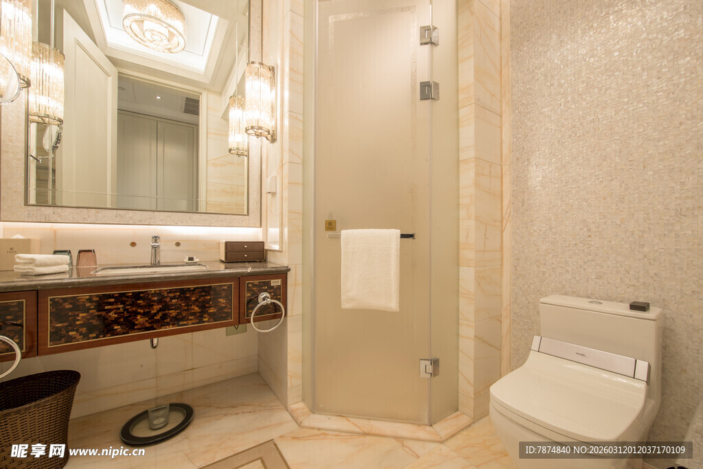 豪华现代风卫生间一角