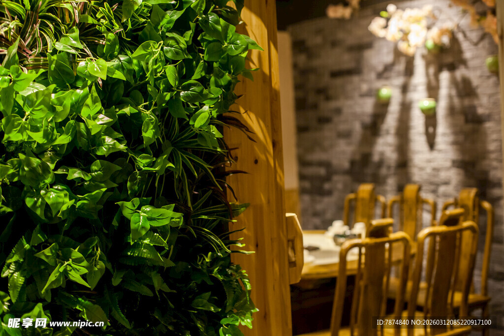 绿植环绕的温馨用餐空间