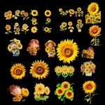 向日葵免抠素材