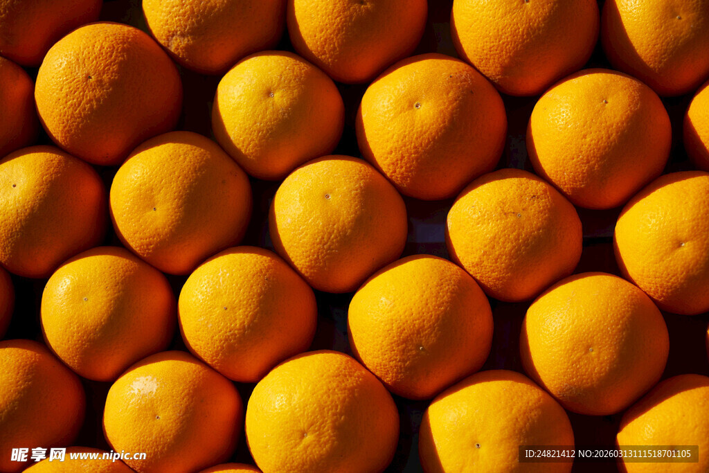 满满一堆新鲜橙子