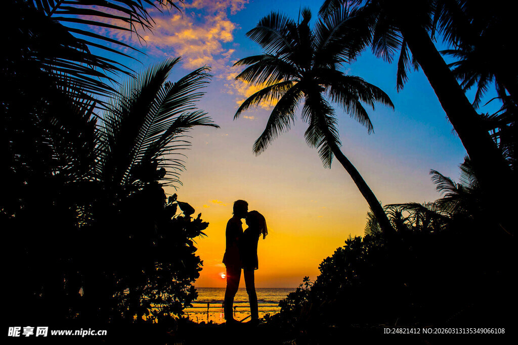 夕阳下情侣在椰林中剪影
