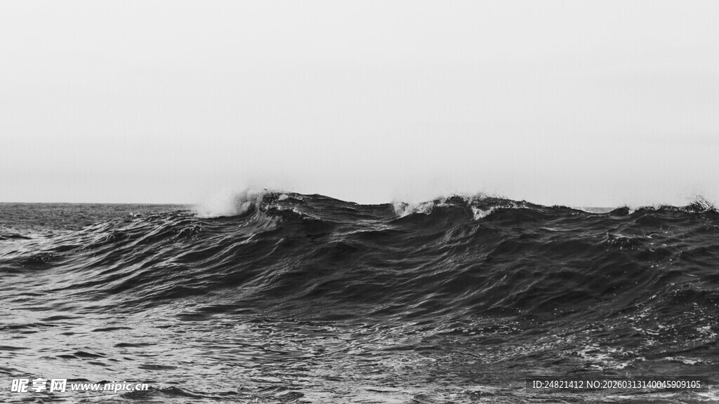 黑白海浪景观