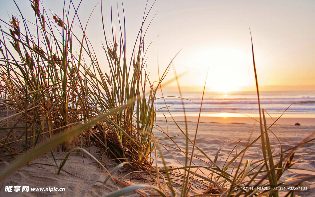 海边日落时分的沙滩美景