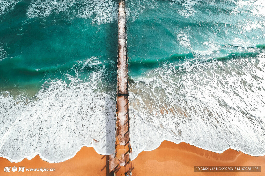 海边枯木与浪涌的美景