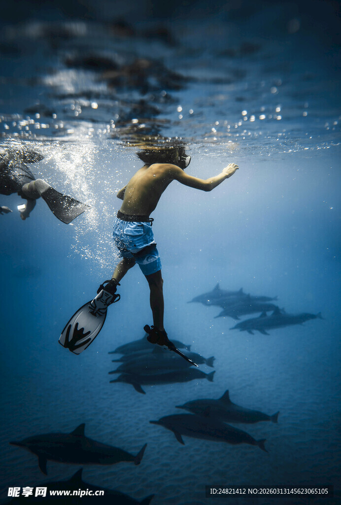 男孩水中嬉戏与鱼群共舞