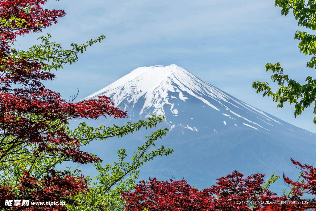 富士山下的多彩景致