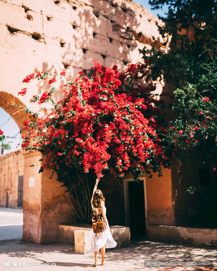 女孩在繁花拱门下伸手嬉戏