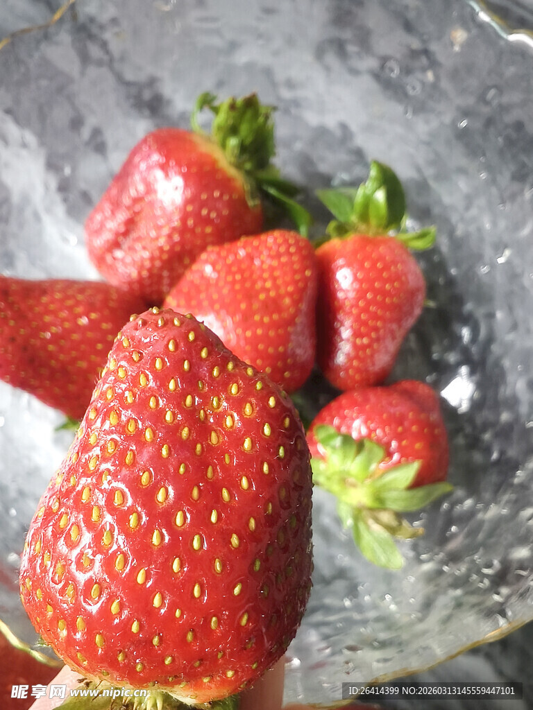 新鲜草莓特写