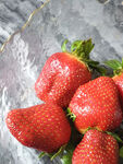 新鲜诱人的草莓特写