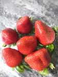 新鲜诱人的草莓摆拍
