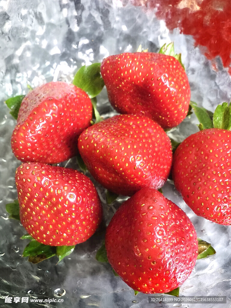新鲜草莓置于冰上