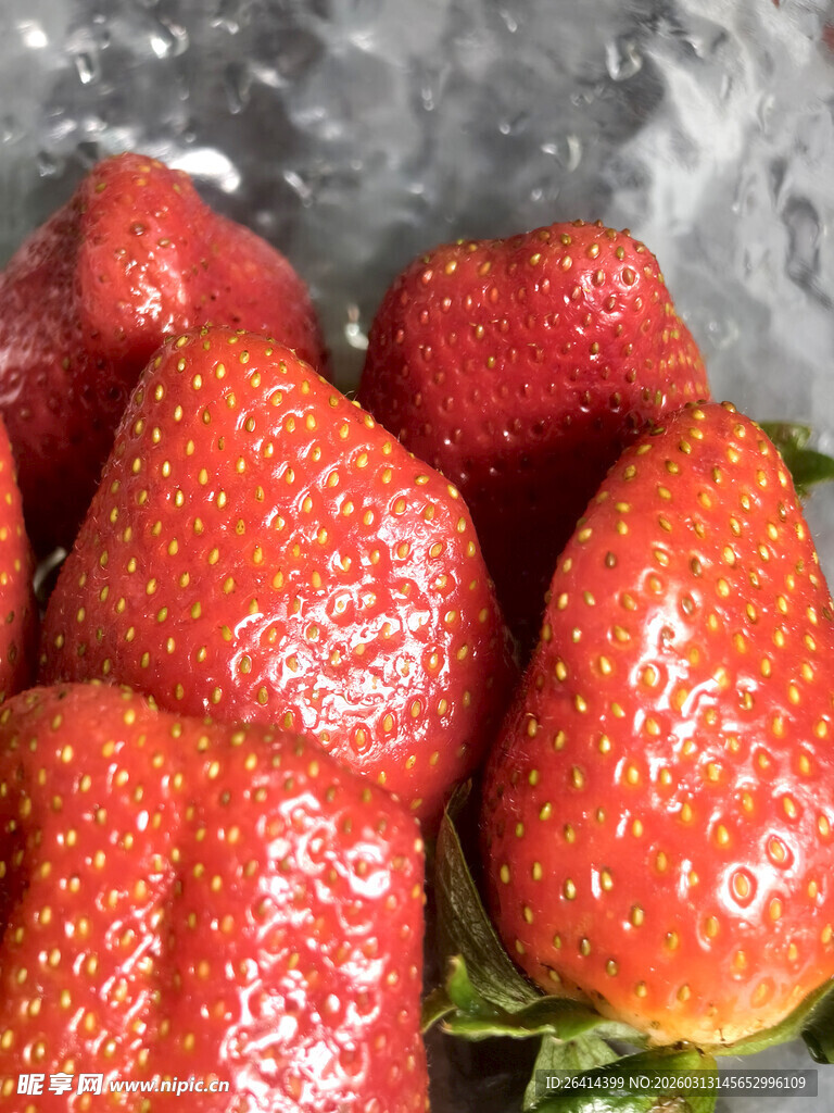 新鲜草莓被水冲洗